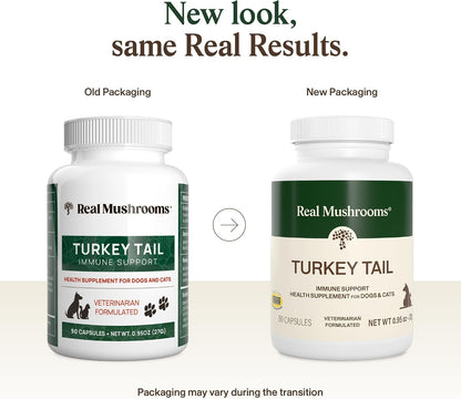 Real Mushrooms Turkey Tail Capsules for Pets –Cat Probiotics & Dog Vitamins – Organic Mushroom Supplement for Dogs & Cats – Supports Daily Balance & Well-Being Non-Gmo, 90 Ct | Daily Balance and Well-Being Support, Organic Turkey Tail Extract, Non-Gmo, Pet Mushroom Supplement, for Dogs and Cats2