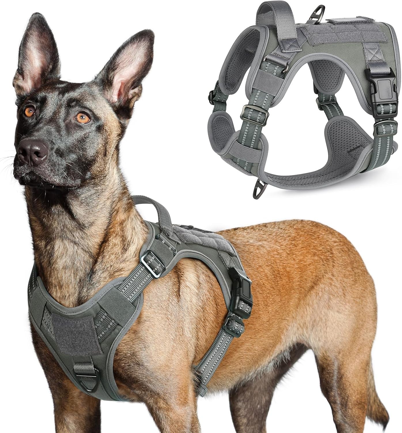 rabbitgoo-tactical-dog-harness-for-large-no-pull-military-service-vest-molle-handle-heavy-duty-adjustable-reflective-straps-easy-control-for-training-walking-black-large