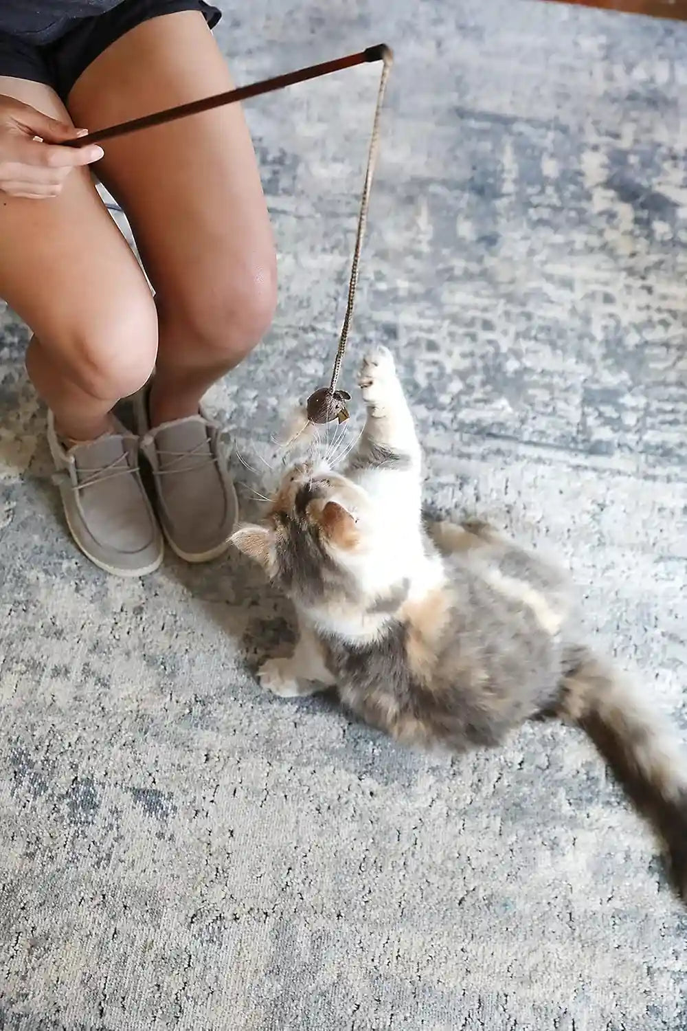 ourpets-play-n-squeak-teathered-feathered-play-wand-cat-toy-for-all-breed-sizes