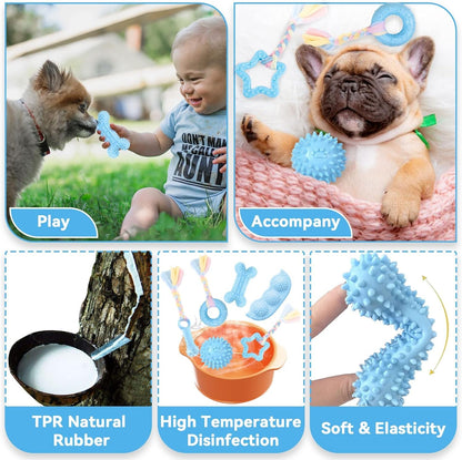 Petcare 6 Pack Puppy Chew Toys - Blue, Soft Rubber Rope & Bone Ball Teething Toys for Small Dogs & Puppies, Including Yorkie4