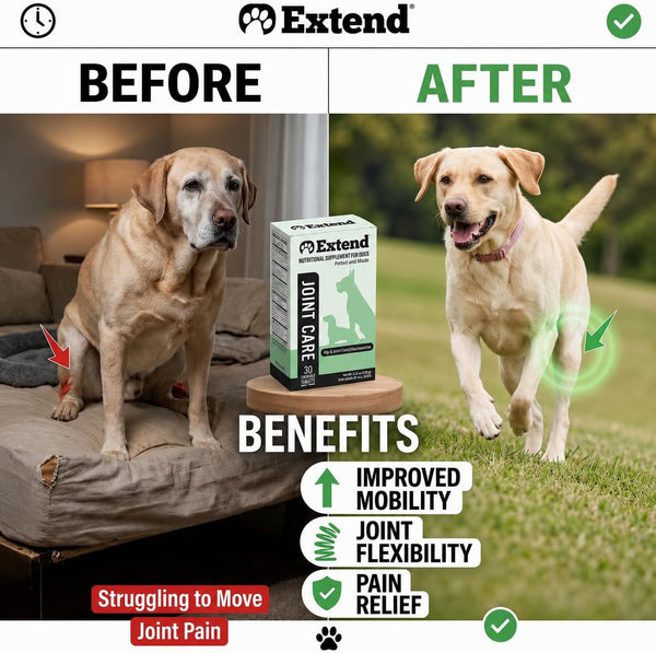 Extend Joint Support for Dogs Hip and Joint Supplement for Dogs Glucosamine Hip & Joint Support Arthritis Supplement, Support Healthy Joints, Mobility & Flexibility for All Dog Breeds - Made in USA4