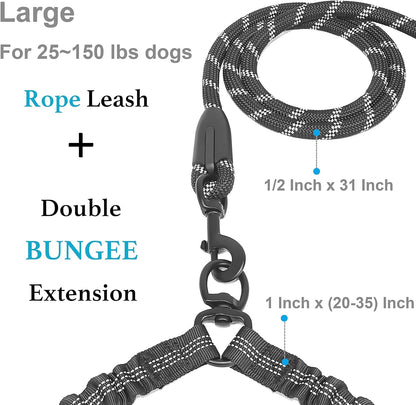 Double Dog Leash, 360° Swivel, No Tangle, Large, 25-150 Lbs, Black | Dual Leash for Two Dogs, Split Leash, Shock-Absorbing Bungee, Padded Handle, Heavy-Duty Rope2