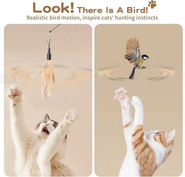 Pawaboo Feather Teaser Cat Toy - Interactive Wand with Extra Long 34.5" Wand and Small Bell, Fun Exerciser Playing Toy for Kittens or Cats, Brown Feather4
