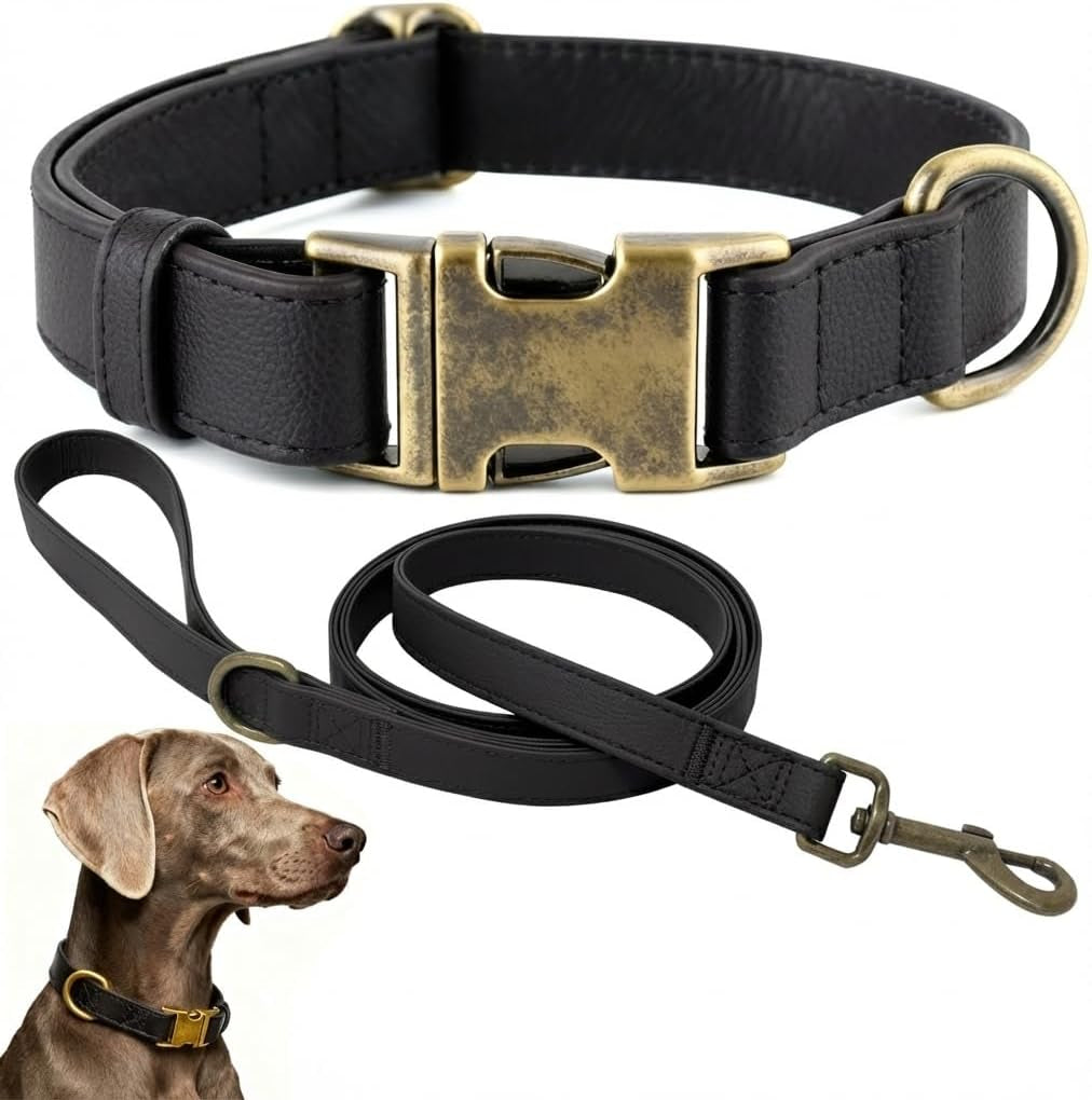 b-f-dog-collar-and-leash-set-leather-silicone-waterproof-odor-proof-dog-collar-and-leash-for-medium-dogs-soft-flexible-dog-collars-adjustable-pet-collar-brown-medium-12-5-20-neck