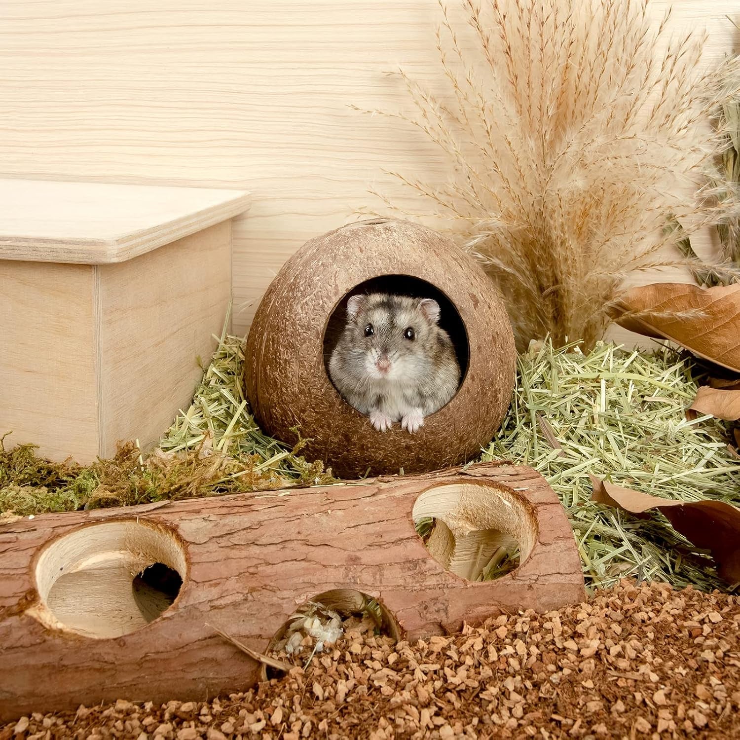 andwe-coconut-hut-hamster-house-bed-for-gerbils-mice-small-animal-cage-habitat-decor