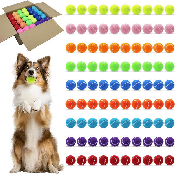 Magicorange Tennis Balls for Dogs,Colorful Easy Catching Dog Balls,4 Pack | Bright Yellow/Pink/Orange/Blue Dog Playing Balls, Easy to Spot and Fetch, with Mesh Bag for Training and Outdoor Fun12
