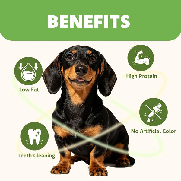 MON2SUN Dog Treats, 4–4.5 Inch Chicken Wrapped Triangle Rawhide Sticks | 18.34 Oz, 40 Count, High Protein, Easy-To-Hold Design, for Puppies & Small Dogs, Daily Rewards4