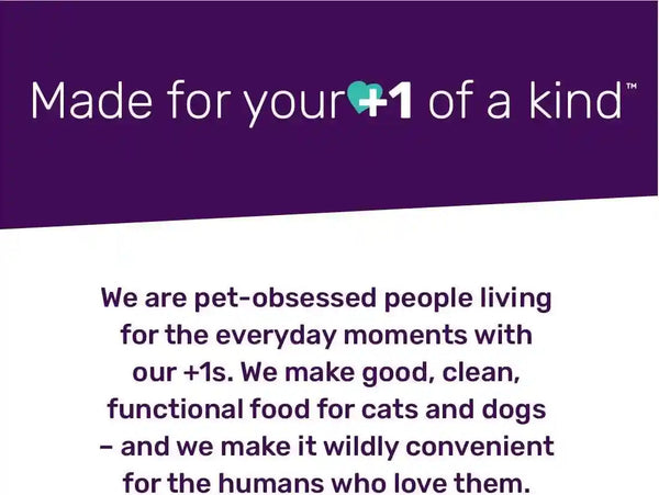 I and LOVE and YOU Xoxos Mix Pate Wet Cat Food, Variety Pack, Grain Free, Artificial Preservatives Free, 3 Oz Pack of 12 Cans7
