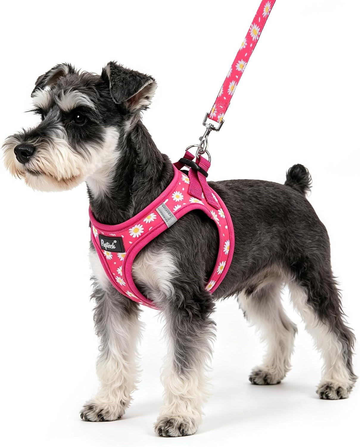 pupteck-dog-harness-and-leash-set-for-small-medium-dogs-no-pull-step-in-soft-mesh-puppy-cat-vest-harnesses-reflective-at-night-green-s