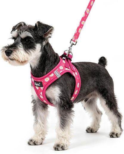 PUPTECK Dog Harness and Leash Set for Small Medium Dogs No Pull Step-In Soft Mesh Puppy Cat Vest Harnesses Reflective at Night, Green S31