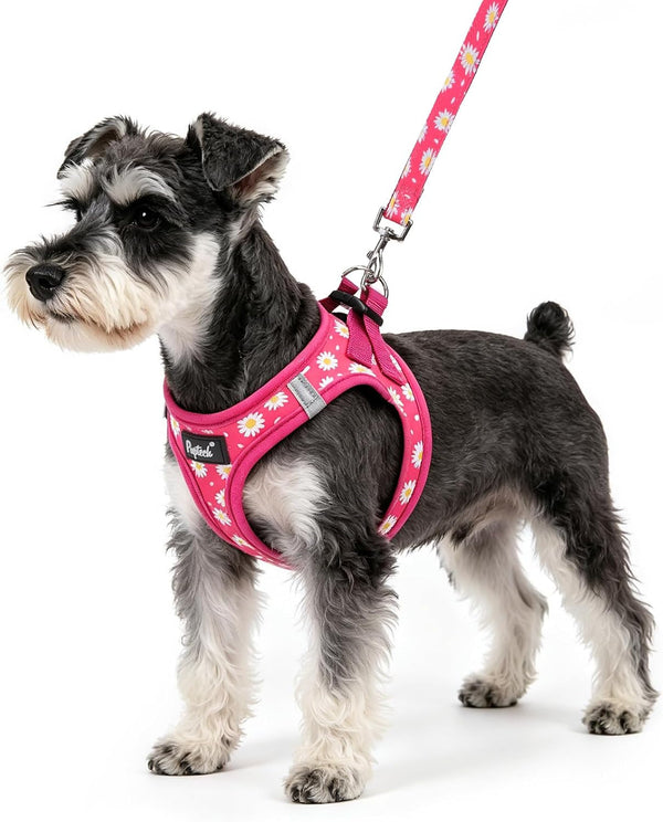 PUPTECK Dog Harness and Leash Set for Small Medium Dogs No Pull Step-In Soft Mesh Puppy Cat Vest Harnesses Reflective at Night, Green S31
