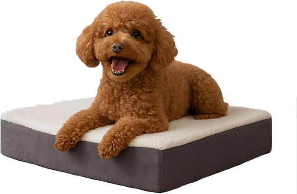 Orthopedic Dog Bed - 2-Layer Memory Foam Crate Mat with Machine Washable Sherpa Cover - 20X15 Pet Bed for Small Dogs up to 20Lbs by PETMAKER (Gray)1