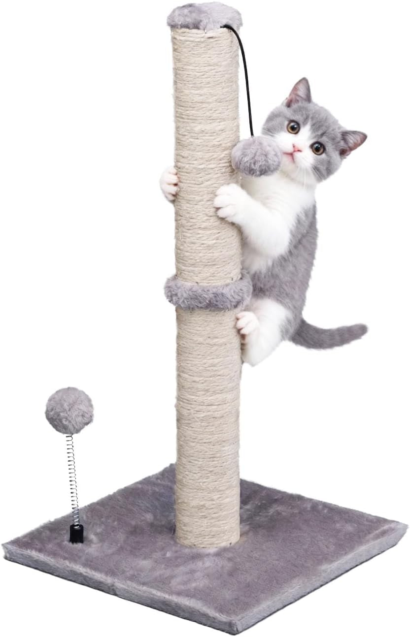 mecool-cat-scratching-post-premium-basics-kitten-scratcher-sisal-scratch-posts-with-hanging-ball-22in-for-kittens-or-smaller-cats-22-inches-for-kitten-beige