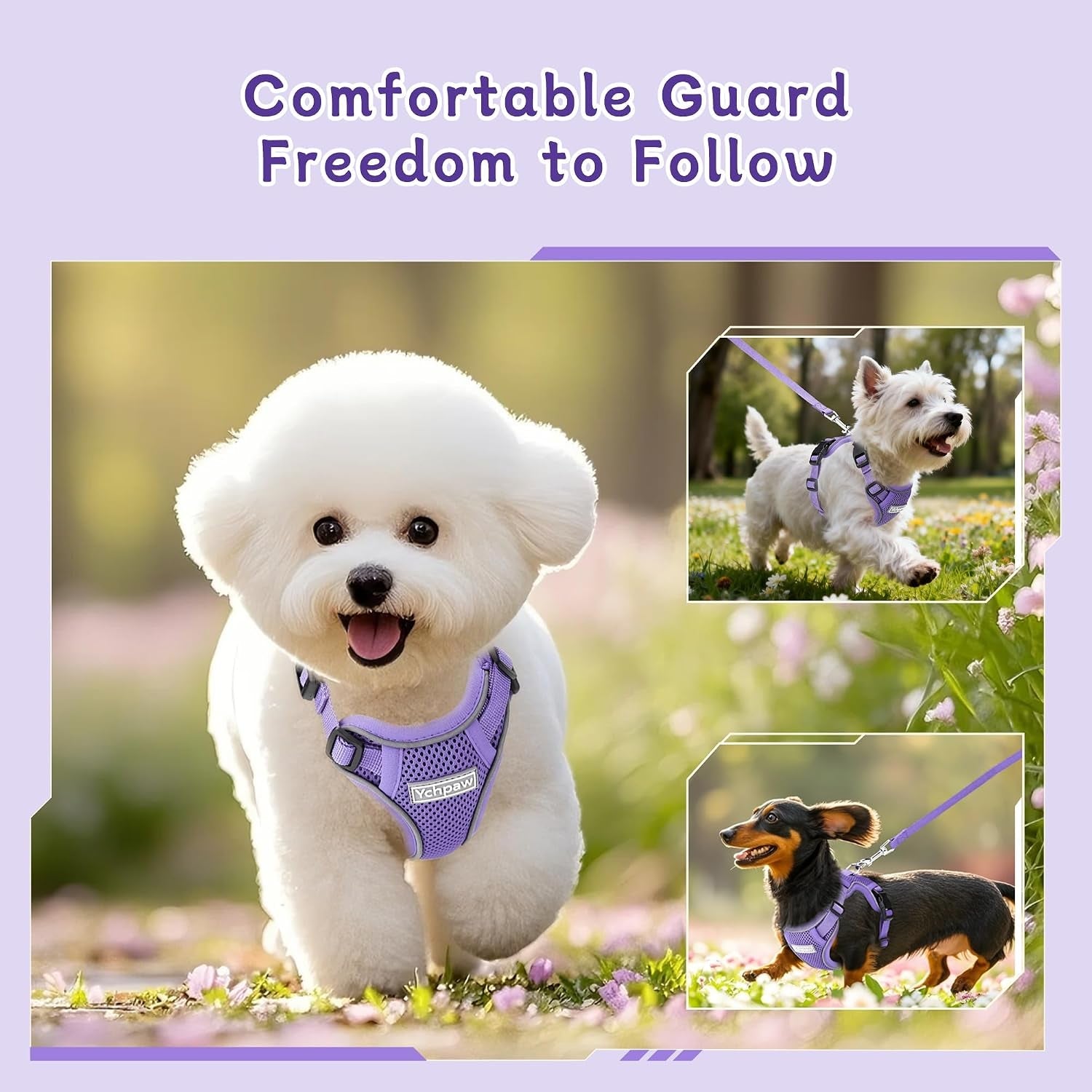 small-dog-harness-and-leash-set-adjustable-small-sized-pet-vest-reflective-soft-breathable-mesh-3-buckles-adjustable-neck-and-chest-easy-on-and-comfortable-secure-walking-purple-s