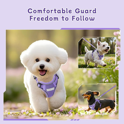 Small Dog Harness and Leash Set, Adjustable Small Sized Pet Vest | Reflective Soft Breathable Mesh, 3 Buckles, Adjustable Neck and Chest, Easy on and Comfortable Secure Walking, Purple, S7
