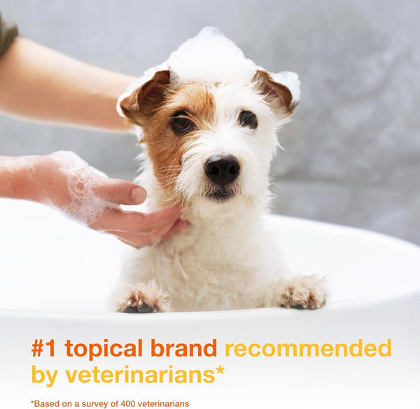 Douxo S3 PYO Medicated Dog Shampoo with 3% Chlorhexidine for Dogs – Antibacterial & Antiseptic Yeast Infection Treatment for Dogs & Cats, Clinically Proven, 6.7 Fl Oz | Antibacterial & Antiseptic Yeast Infection Treatment for Dogs & Cats, Clinically Proven, 6.7 Fl Oz3