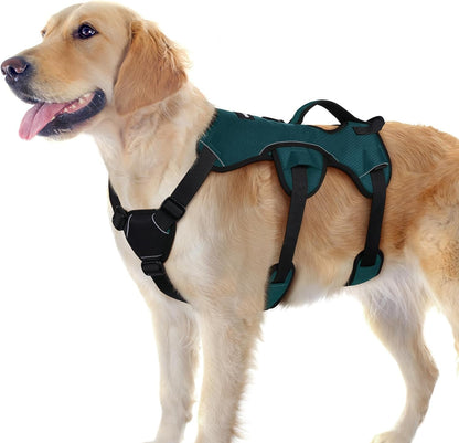 Rabbitgoo Escape Proof Dog Harness for Large, No Pull with Lift Handle | No Escape, Full Soft Padded, Reflective Adjustable Vest, Leash Clip for Walking Hiking Training, Black, Large15