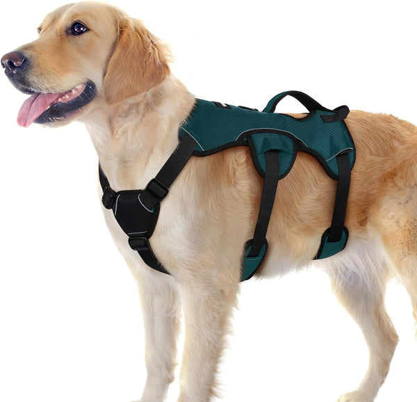 Rabbitgoo Escape Proof Dog Harness for Large, No Pull with Lift Handle | No Escape, Full Soft Padded, Reflective Adjustable Vest, Leash Clip for Walking Hiking Training, Black, Large15