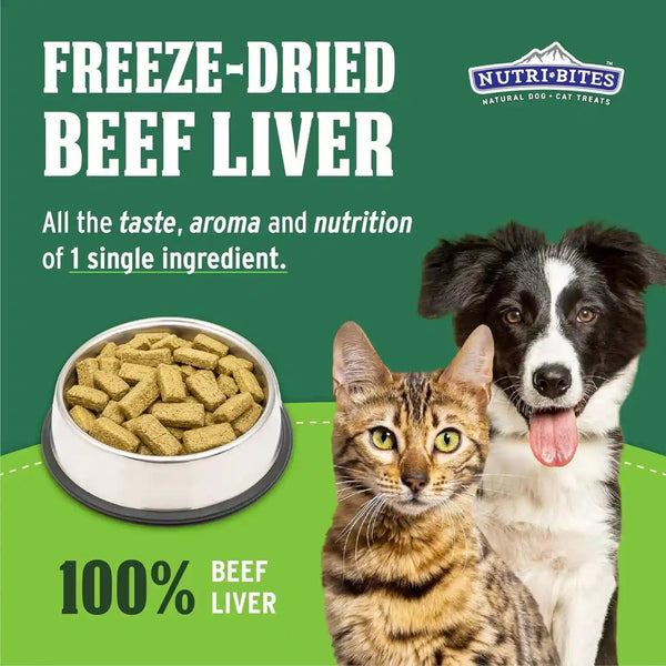 Nutri Bites Freeze Dried Beef Liver Dog & Cat Treats, Single Ingredient High Protein Pet Treats, 17.6 Oz2