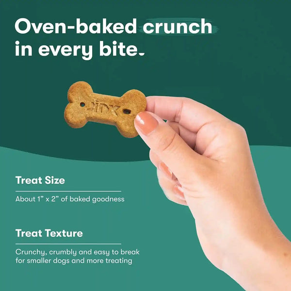 Jinx Dog Biscuits, Oven-Baked Dog Treats with Salmon Bone Broth, 16Oz | 1-Pack Crunchy & Healthy Dog Treat, Superfood-Rich with Real Salmon, Dog Cookies for Puppies, Adults & Senior Dogs8