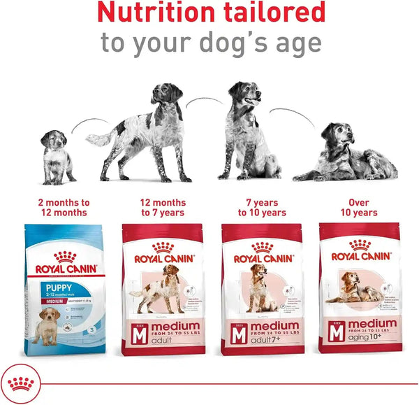 ROYAL CANIN Size Health Nutrition Medium Adult Dry Dog Food, 17 Lb Bag6