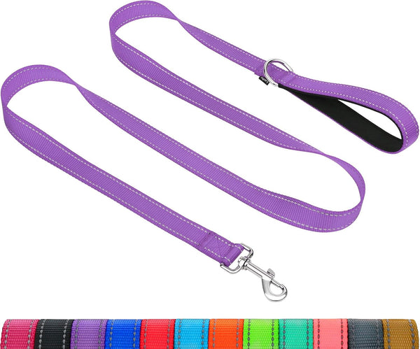 Taglory Reflective Dog Leash for Small Dogs, 3/4In X 6Ft, Black | Ideal for Night Walking, Strong for Sudden Pulls, Lightweight & Gentle on the Neck, Soft Padded Handle10