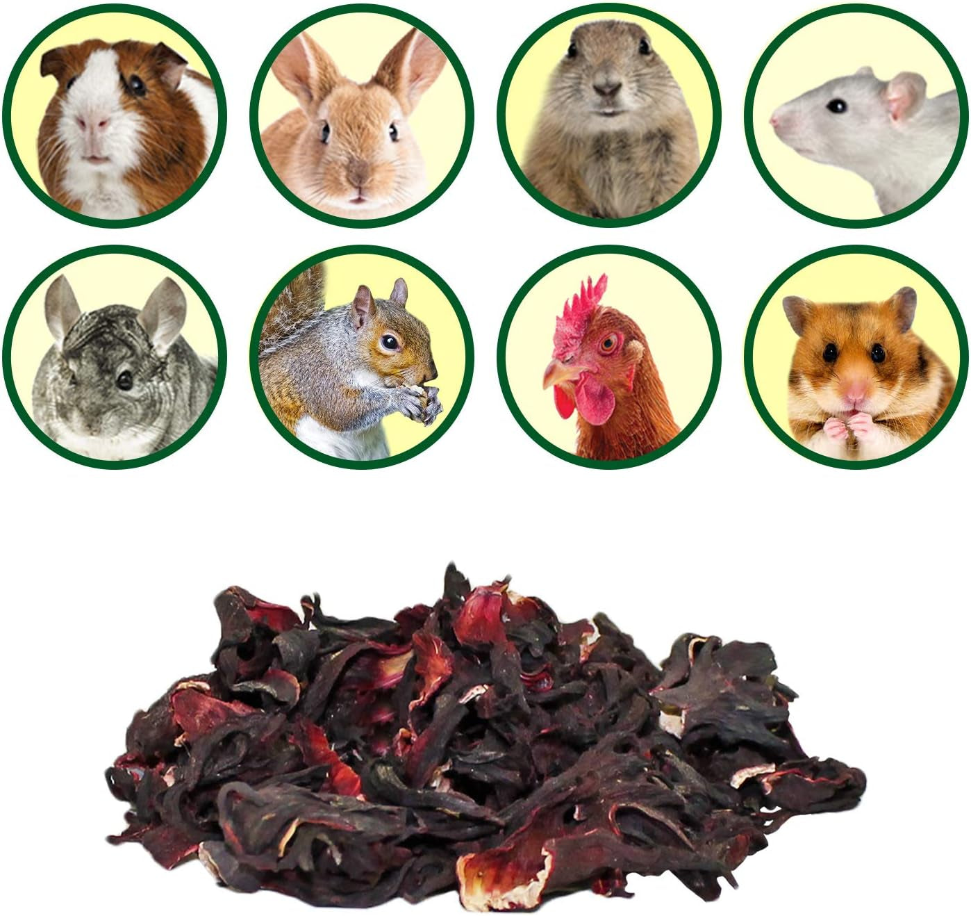 hibiscus-flower-treat-1oz-healthy-natural-dried-flower-herbivore-treat-chinchillas-guinea-pigs-rabbits-prairie-dogs-degus-hamsters-rats-squirrels-sugar-gliders-other-small-pets