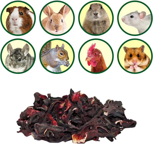 Hibiscus Flower Treat (1Oz)- Healthy Natural Dried Flower Herbivore Treat - Chinchillas, Guinea Pigs, Rabbits, Prairie Dogs, Degus, Hamsters, Rats, Squirrels, Sugar Gliders & Other Small Pets3
