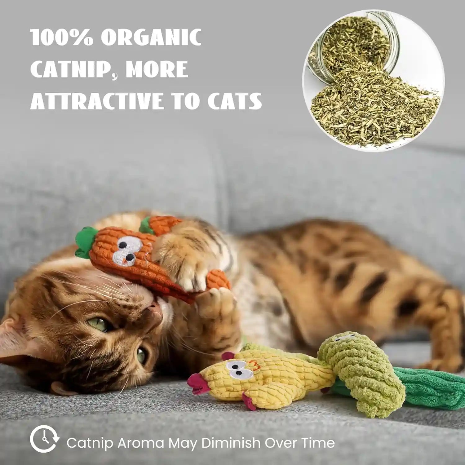 cactus-catnip-toys-100-pure-organic-catnip-filled-toys-without-cotton-5-pack-interactive-kitten-toy-for-anxiety-relief-soft-cute-teething-chew-toys-for-indoor-cats