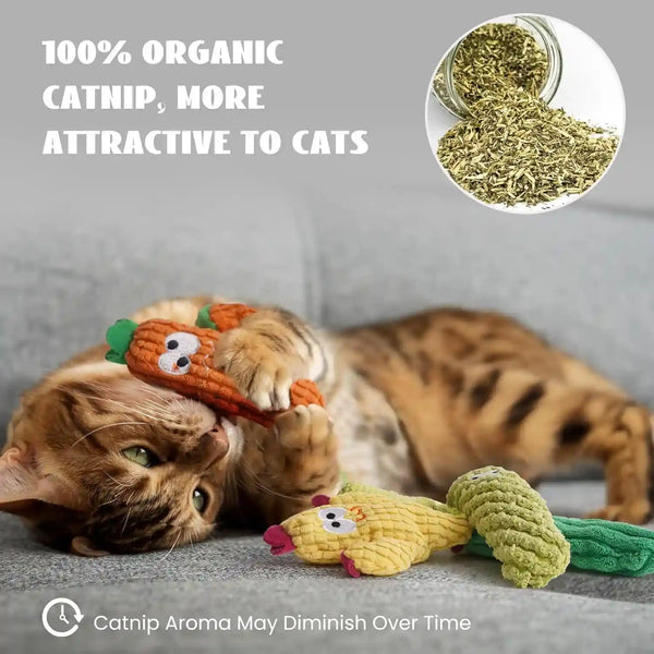 Cactus Catnip Toys, 100% Pure Organic Catnip-Filled Toys without Cotton | 5 Pack Interactive Kitten Toy for Anxiety Relief, Soft Cute Teething &Chew Toys for Indoor Cats6