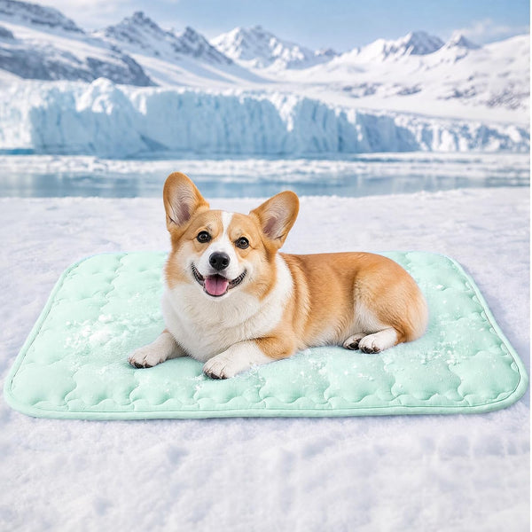 Luciphia Dog Cooling Mat, Q-MAX>0.5 Non-Slip Self-Cooling Pad for Pets | Elastic Support, Joint Protection; Q-MAX>0.5 Instant Cooling Needs No Power; Non-Slip Washable Dog Bed; Light Blue 20X3012