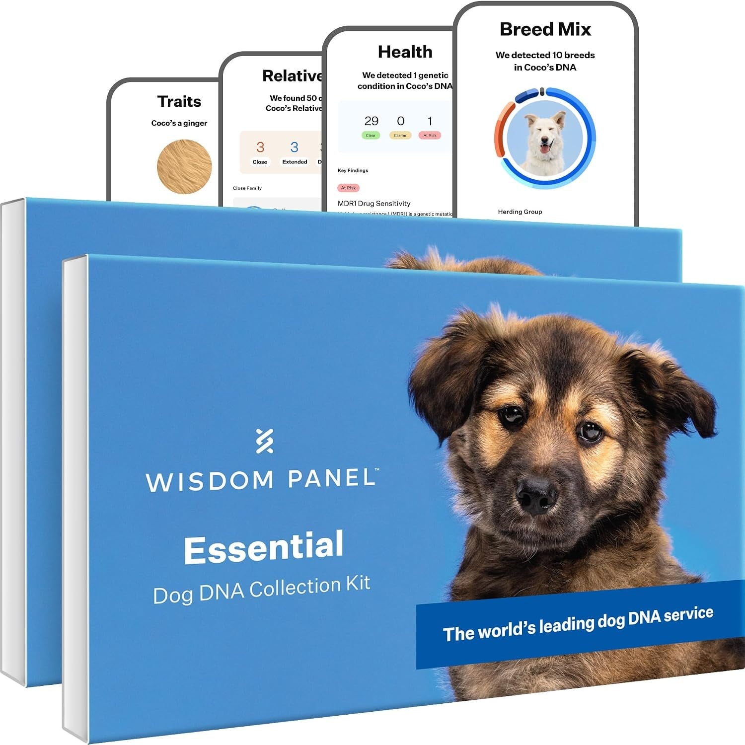 wisdom-panel-essential-dog-dna-testing-kit-most-accurate-test-for-430-dog-breeds-30-genetic-health-conditions-50-traits-relatives-ancestry-1-pack