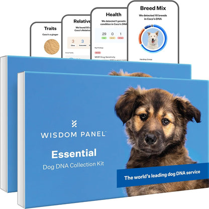 Wisdom Panel Essential Dog DNA Testing Kit - Most Accurate Test for 430+ Dog Breeds, 30 Genetic Health Conditions, 50+ Traits, Relatives, Ancestry, 1 Pack9
