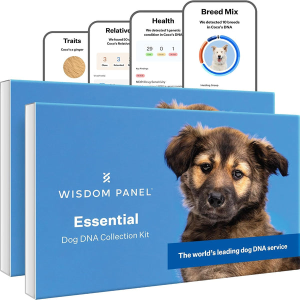 Wisdom Panel Essential Dog DNA Testing Kit - Most Accurate Test for 430+ Dog Breeds, 30 Genetic Health Conditions, 50+ Traits, Relatives, Ancestry, 1 Pack9