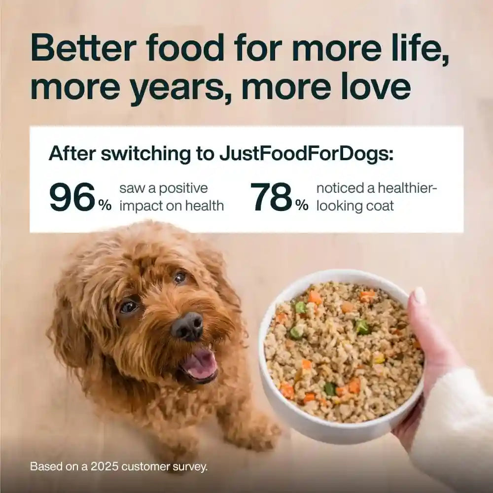 justfoodfordogs-pantry-fresh-wet-dog-food-complete-meal-or-topper-chicken-white-rice-human-grade-recipe-12-5-oz-pack-of-6