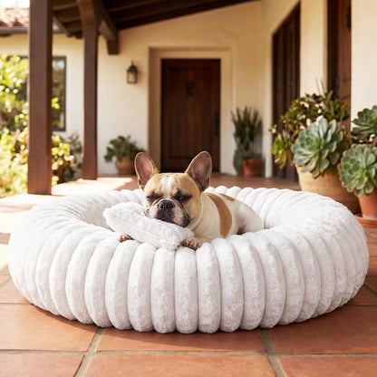 Donut Pet Bed for Indoor Cats and Small Dogs, Self-Heating Dog Bed with Non-Slip Bottom, Winter Comfort Dog Beds for Puppies, Washable & Portable Egg Tart Shape (S) Small Cat Bed Self Warming9