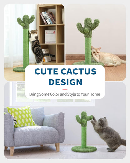Made4Pets Cactus Cat Scratching Post for Indoor Cats with Plush Ball, 25.6" | Interactive Cactus Cat Scratcher with Natural Sisal Rope, Sturdy Base and Plush Ball for Daily Scratching and Indoor Play8