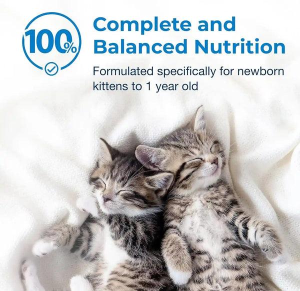 Petag KMR Kitten Milk Replacer Liquid - 16 Oz - Ready-To-Feed Formula with Vitamins for Newborn Kittens to 1 Year - Easy to Digest4