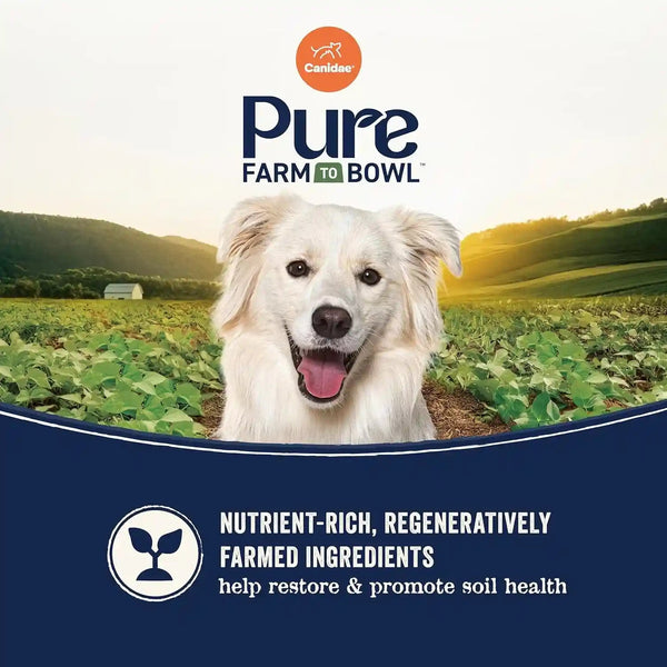 Canidae Pure Farm to Bowl Dry Dog Food - Balanced Nutrition for Adult Dogs - Limited Ingredient Formula - Grain, Wheat & Soy-Free - 22 Lb - Wild-Caught Salmon & Sweet Potato Recipe5