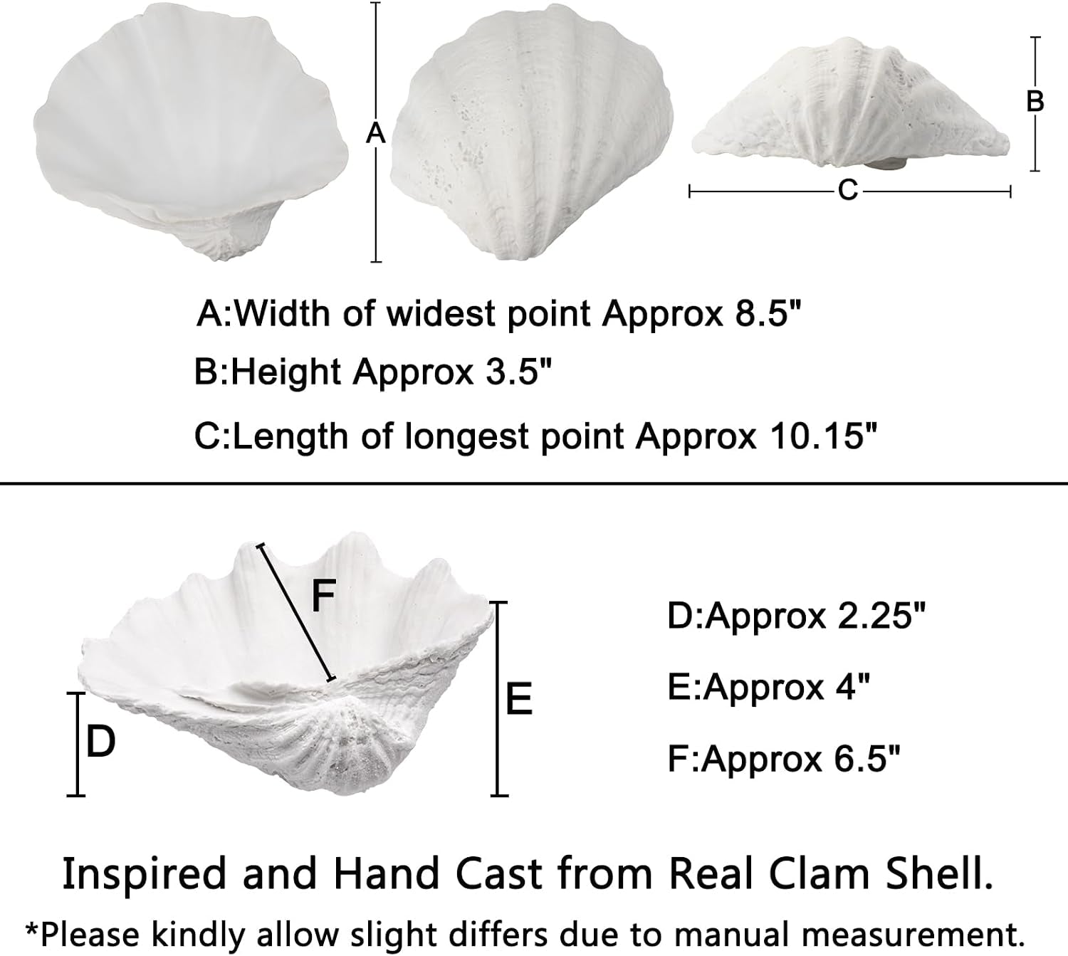 medium-white-scalloped-clam-shell-bowl-sea-shell-decor-for-nautical-beach-house-coastal-decor-gift-of-housewarming-and-wedding-party