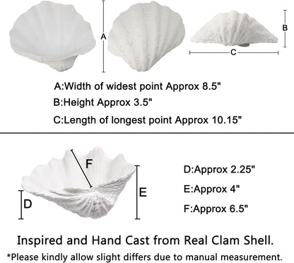 Medium White Scalloped Clam Shell Bowl Sea Shell Decor for Nautical Beach House,Coastal Decor Gift of Housewarming and Wedding Party2