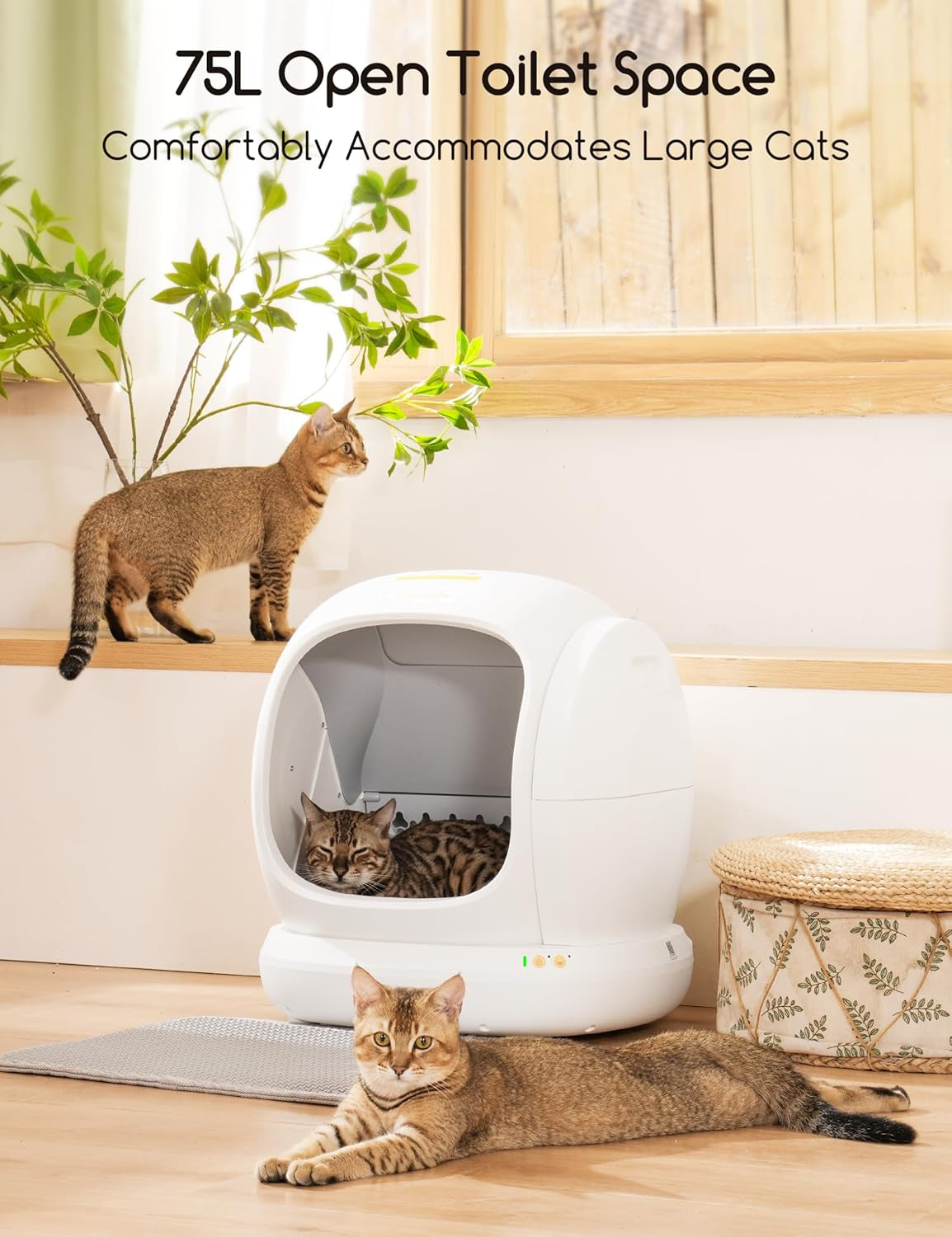 meowant-self-cleaning-cat-litter-box-75l-extra-large-open-automatic-cat-litter-box-for-multi-cats-integrated-safety-protection-app-control-odor-removal-smart-box-with-mat-liner
