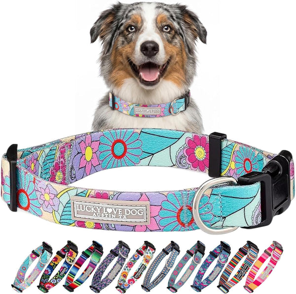 Lucky Love Dog - Easy Click Buckle Dog Collar with Leash Set Combo, Durable & Comfortable for Male & Female Dogs, Pet Collar for Medium Dogs, Secure Fit - Blackbird Combo, Medium89