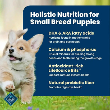Blue Buffalo Life Protection Formula Chicken Small Breed Puppy Food, 5 Lb | with DHA for Brain Development, Real Chicken #1 Ingredient, Antioxidant-Rich Lifesource Bits, Formulated for Small Breed Dogs3