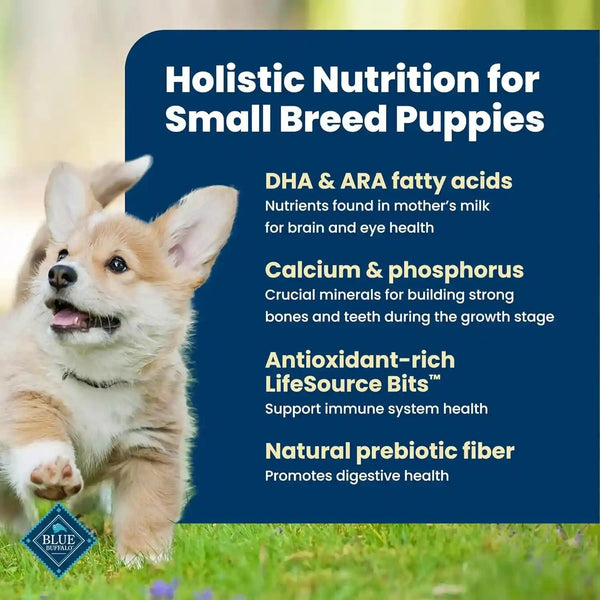 Blue Buffalo Life Protection Formula Chicken Small Breed Puppy Food, 5 Lb | with DHA for Brain Development, Real Chicken #1 Ingredient, Antioxidant-Rich Lifesource Bits, Formulated for Small Breed Dogs3