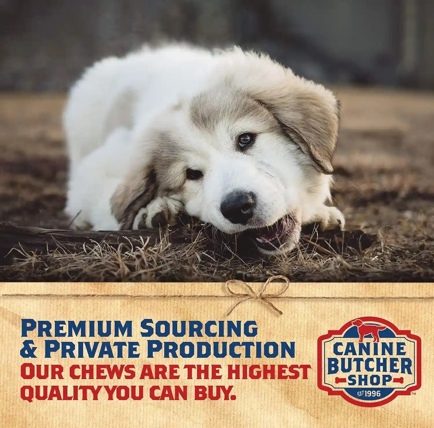 pig-ears-for-dogs-always-usa-made-30-pack-all-natural-sourced-in-usa-pig-ears-digestible-pork-dog-chew-treat-slow-cooked-dried-for-aggressive-chewers-supports-dental-health-satisfies-natural-chewing-instinct-made-in-the-usa