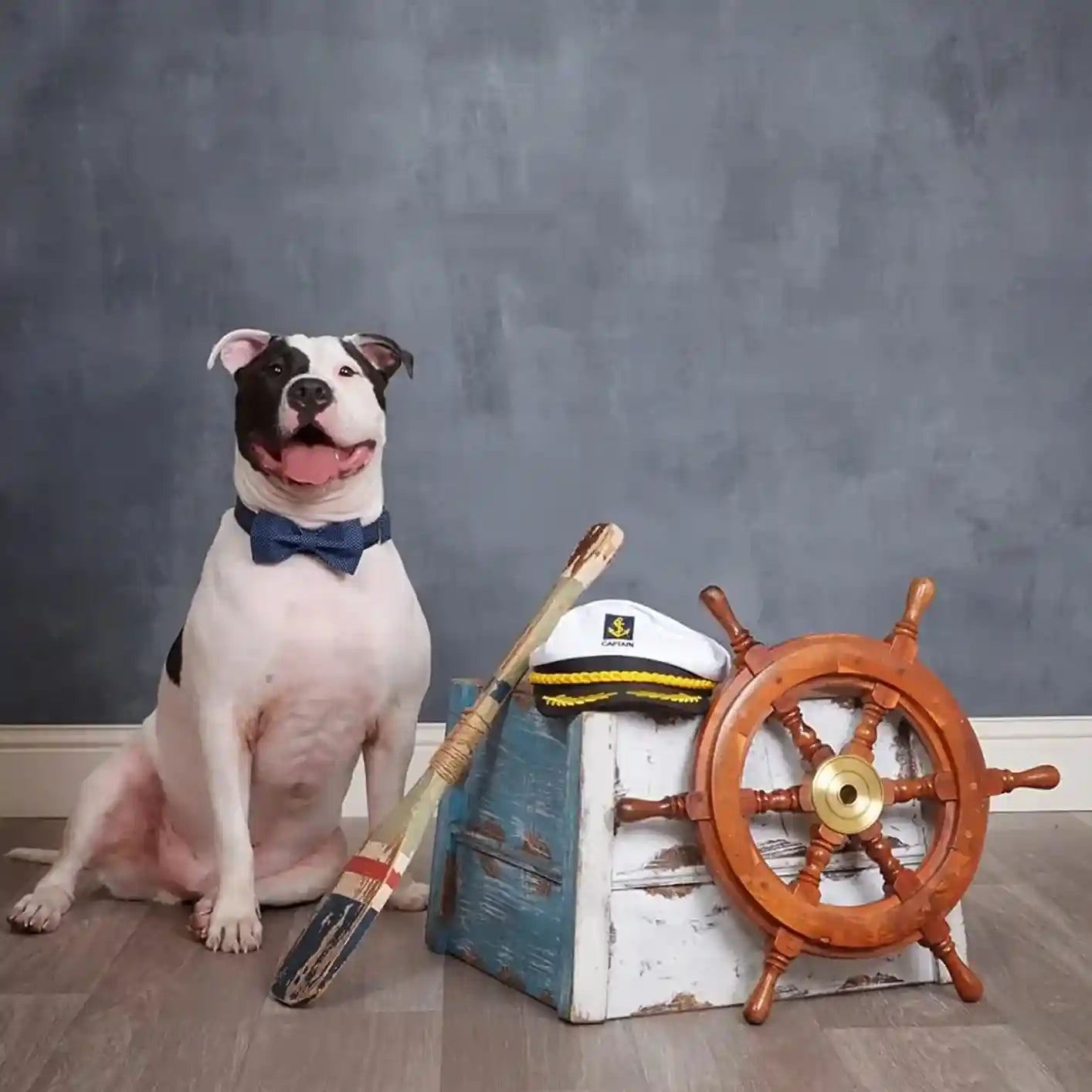 lionet-paws-boy-dog-collar-with-bowtie-comfortable-adjustable-cute-navy-blue-bow-tie-collar-for-male-dogs-gift-xlarge-neck-16-26-inches