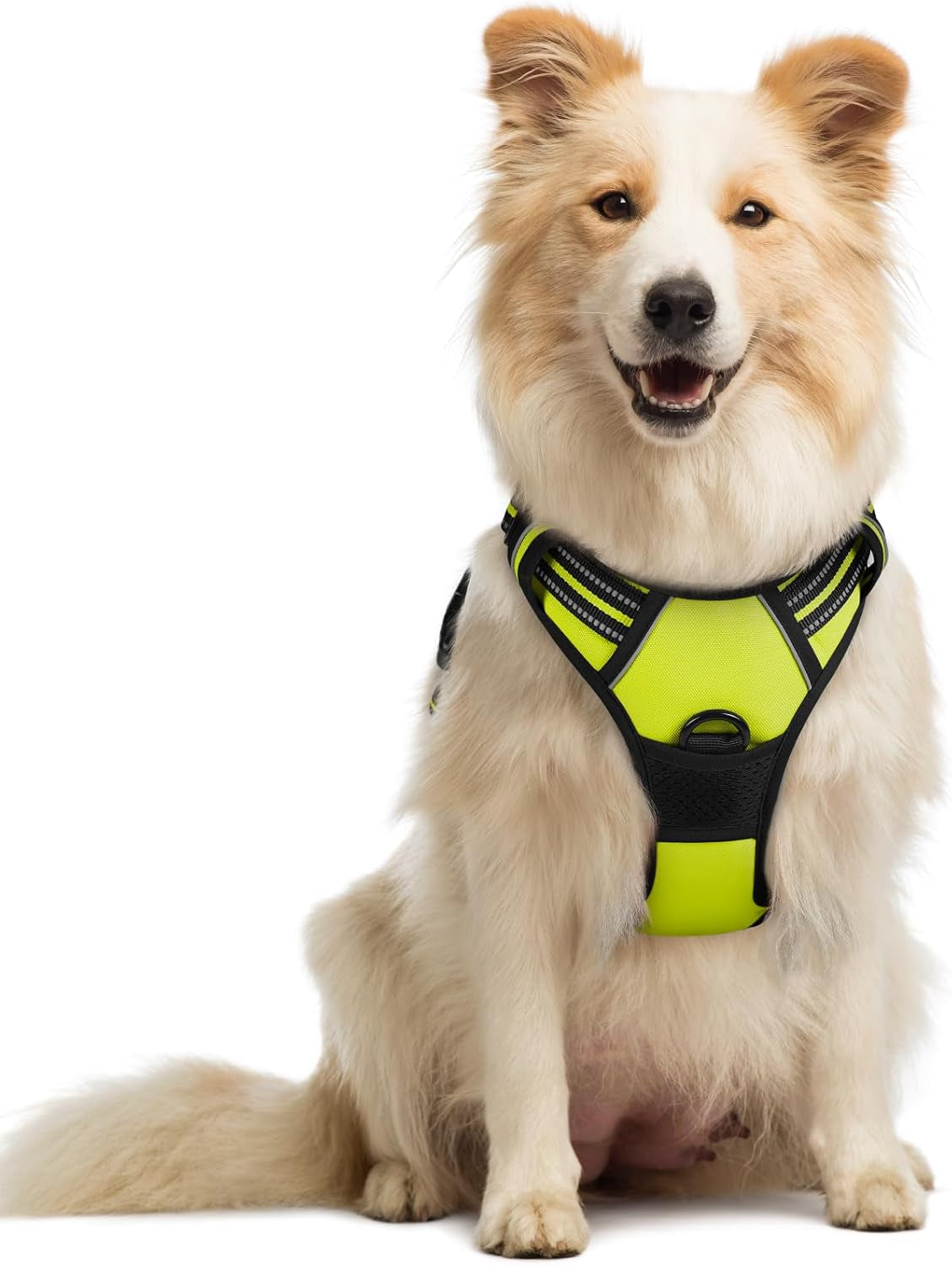 rabbitgoo-dog-harness-no-pull-for-large-dogs-with-2-leash-clips-pet-vest-no-choke-with-handle-adjustable-soft-padded-reflective-easy-control-for-walking-black-large