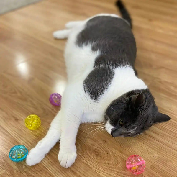 SPOT Lattice Balls Cat Toys - Durable, Fun Balls with Bells Perfect for Swatting and Batting, Colorful Toys to Entertain Indoor Cats and Kittens, - 1.5 Inch, 4 Pcs10