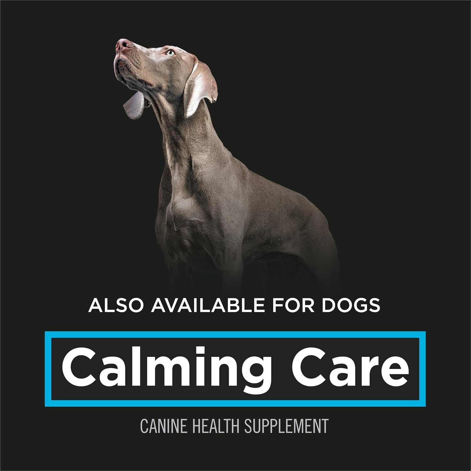 pro-plan-veterinary-diets-calming-care-cat-supplements-probiotic-powder-for-behavioral-support-30-count-box